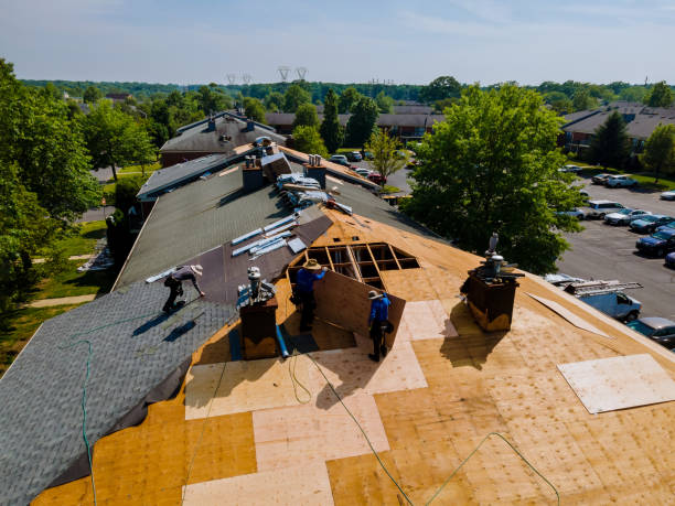 Best Flat Roof Repair Services  in Oak Hills Pce, LA